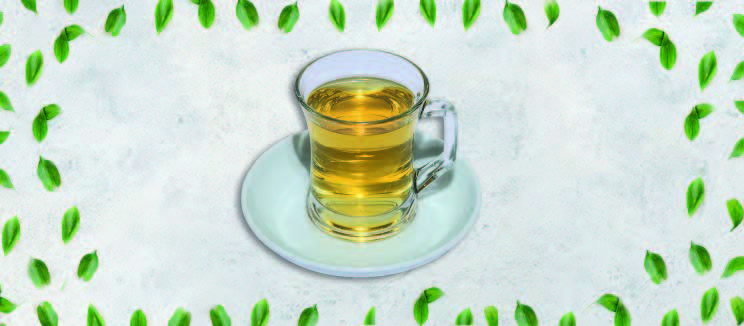 Ara Sıcaklar / HOT APPETIZERS