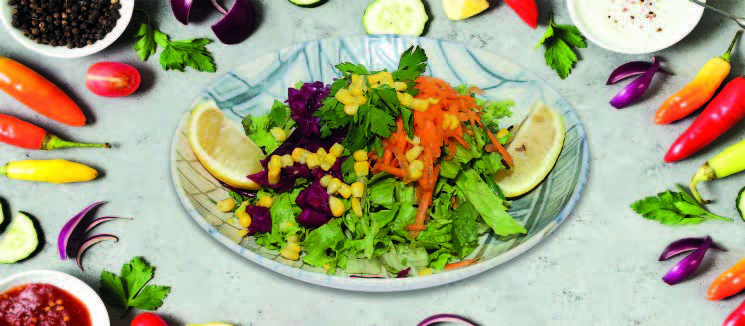 Ara Sıcaklar / HOT APPETIZERS